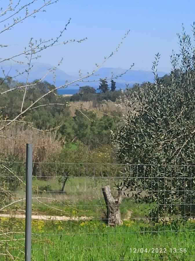 Corfu Oasis Studio Neochorakion Exterior photo